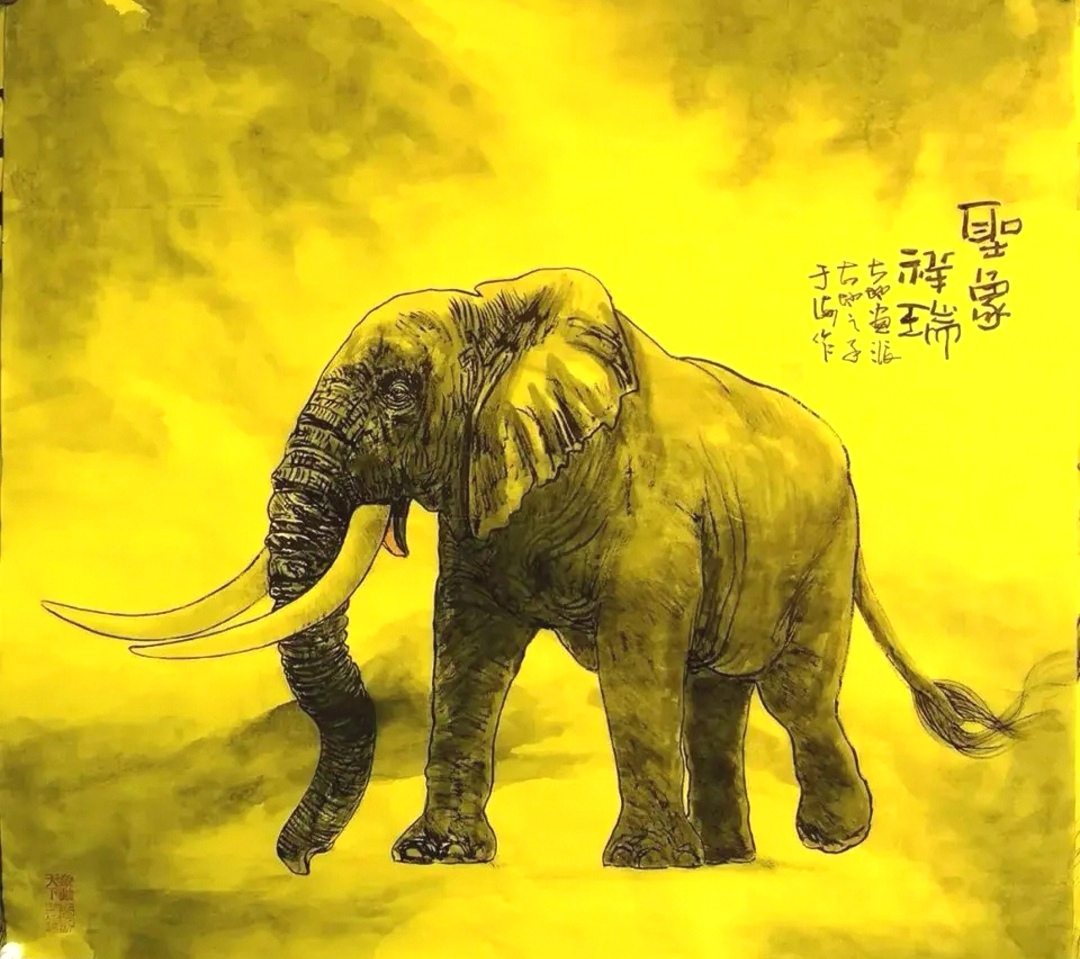 微信图片_横幅大象.jpg