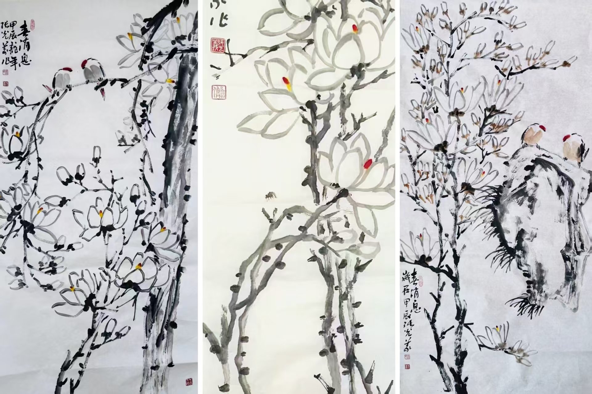 张光义玉兰系列：素墨生春，鸟语花间见